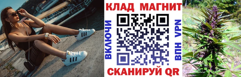 Где купить наркотики Богородицк Героин  Псилоцибиновые грибы  АМФ  Гашиш  APVP  Cocaine  Конопля 