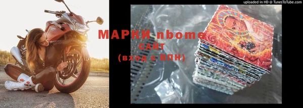 гидра Богородск
